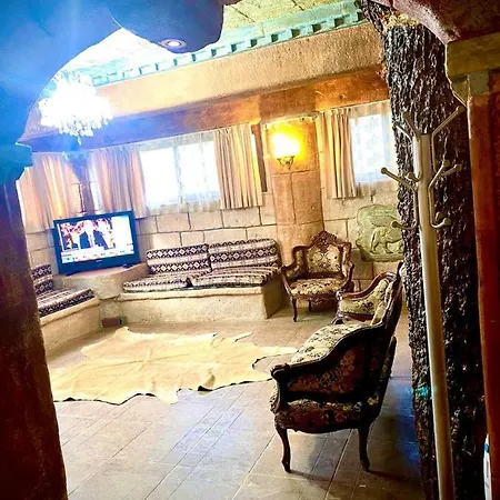 Aslan فندق